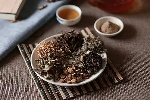 肝脓肿中药方剂